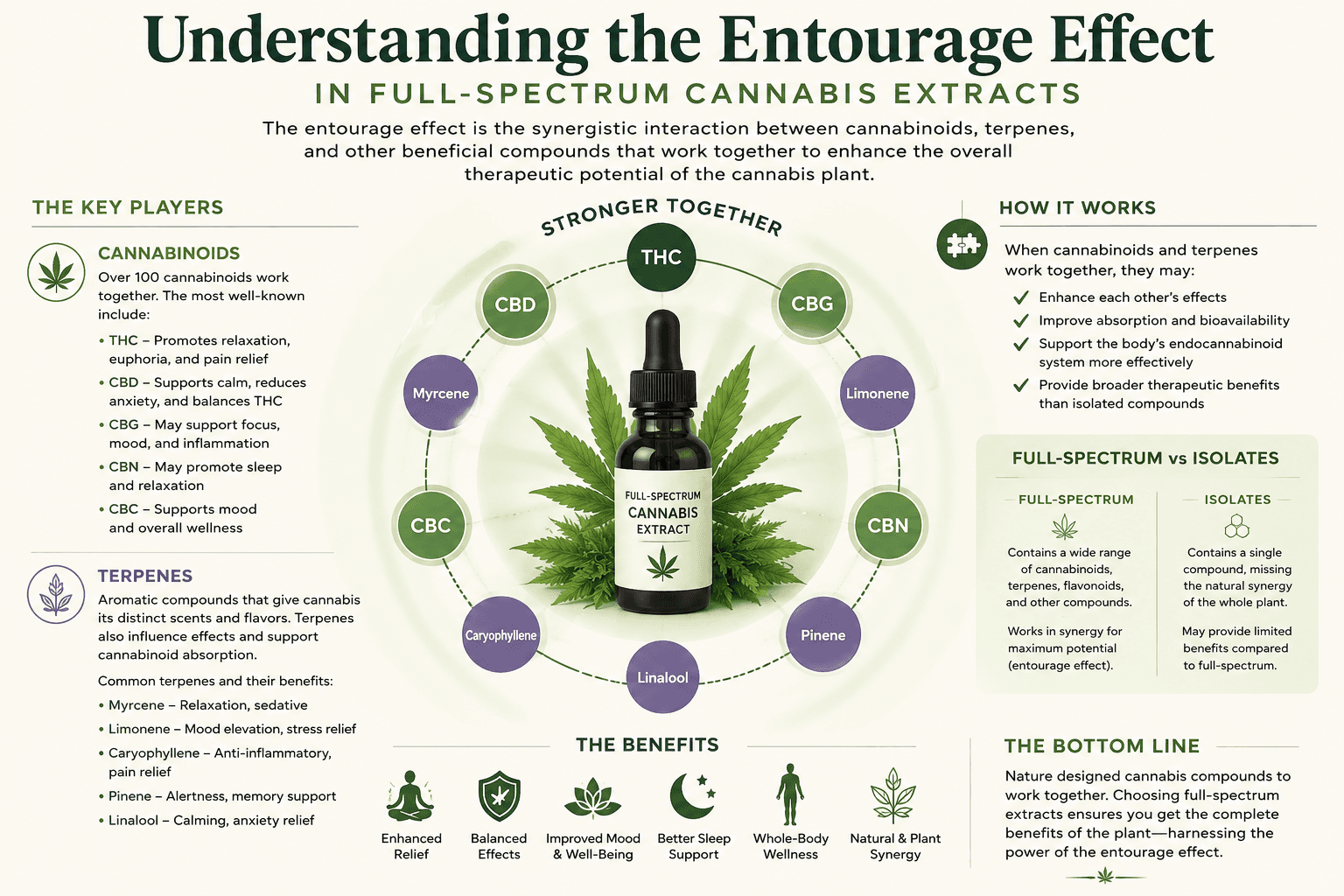 Understanding the Entourage Effect in Full-Spectrum Cannabis Extracts