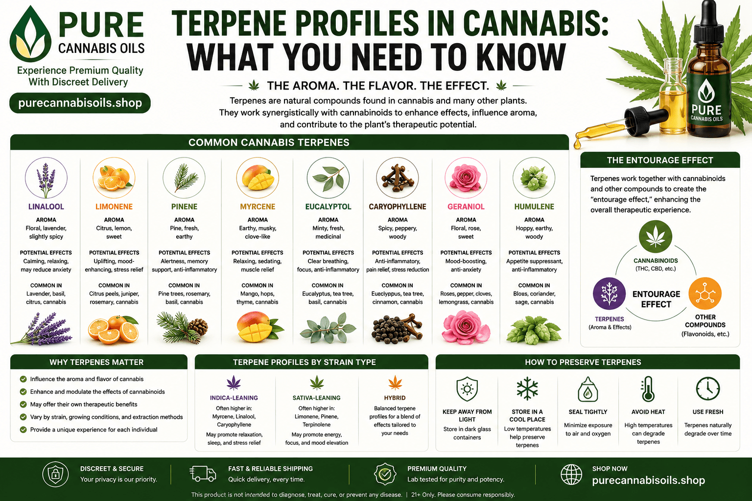 Cannabis Terpenes Guide